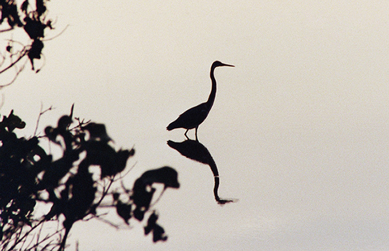 Cayman Brac, 2004