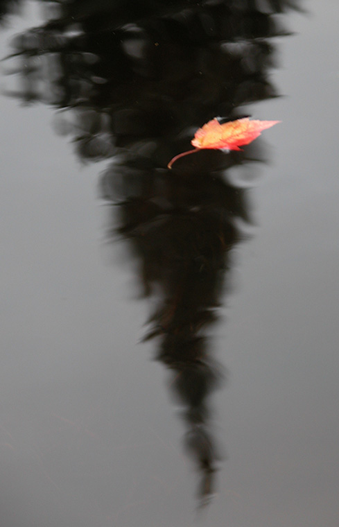Seguin River (Ontario), 2005