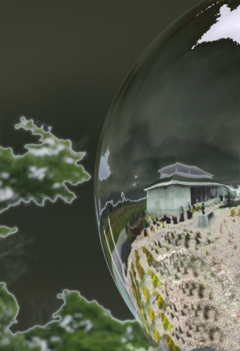 WaterGarden